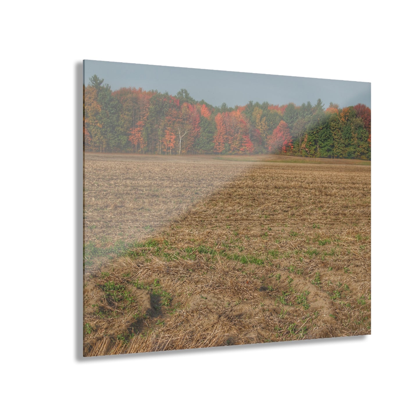 U R There Photography Fall on Murphy Lake III Rustic Farmhouse Acrylic Wall Print