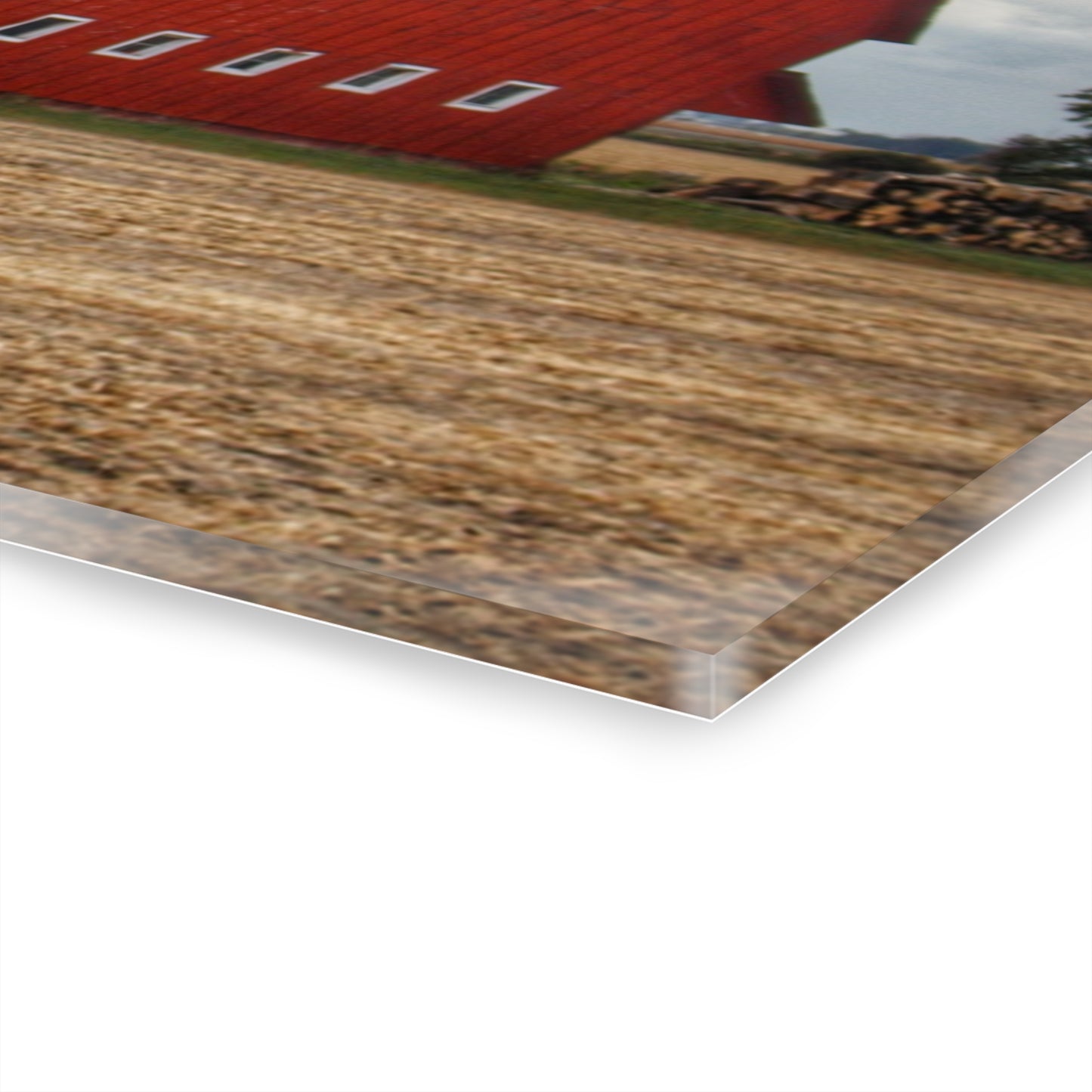 U R There Photography Wadsworth Road Red Rustic Farmhouse Acrylic Wall Print