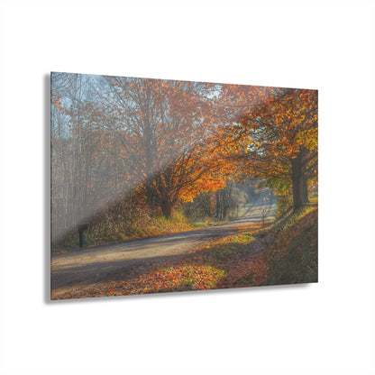 U R There Photography Fall on Oak Road Rustic Farmhouse Acrylic Wall Print