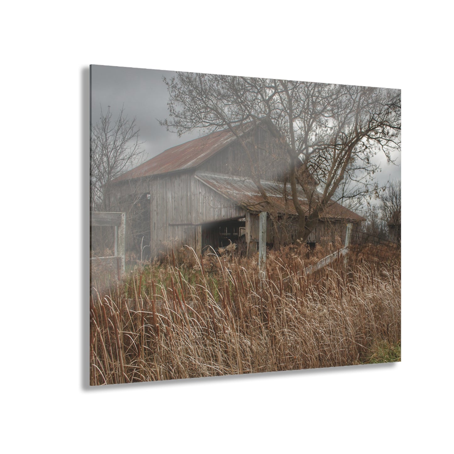 U R There Photography Grey Saltbox Rustic Farmhouse Acrylic Wall Print