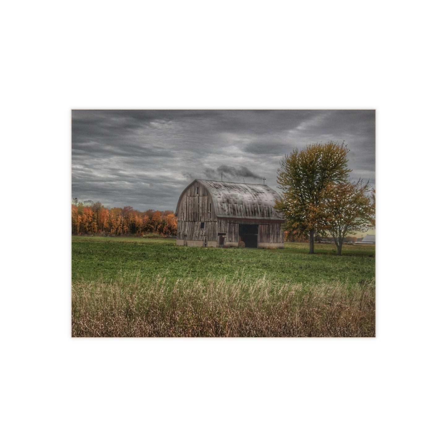U R There Photography Bray Road Grey in the Fall Rustic Farmhouse Decorative Ceramic Tile