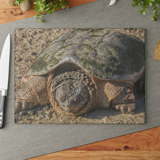 U R There Photography Fargo Road Turtle Rustic Farmhouse Tempered-Glass Cutting Board