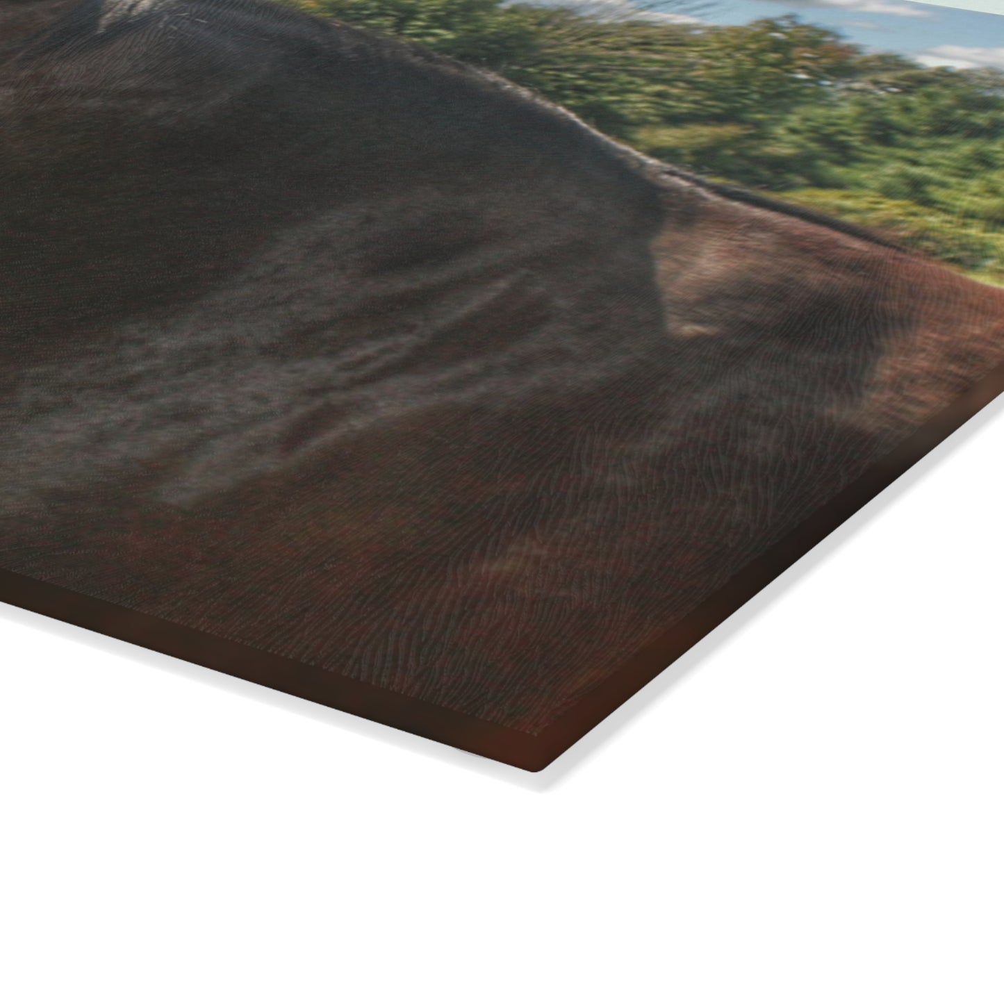 U R There Photography Brown Beauty I Rustic Farmhouse Tempered-Glass Cutting Board