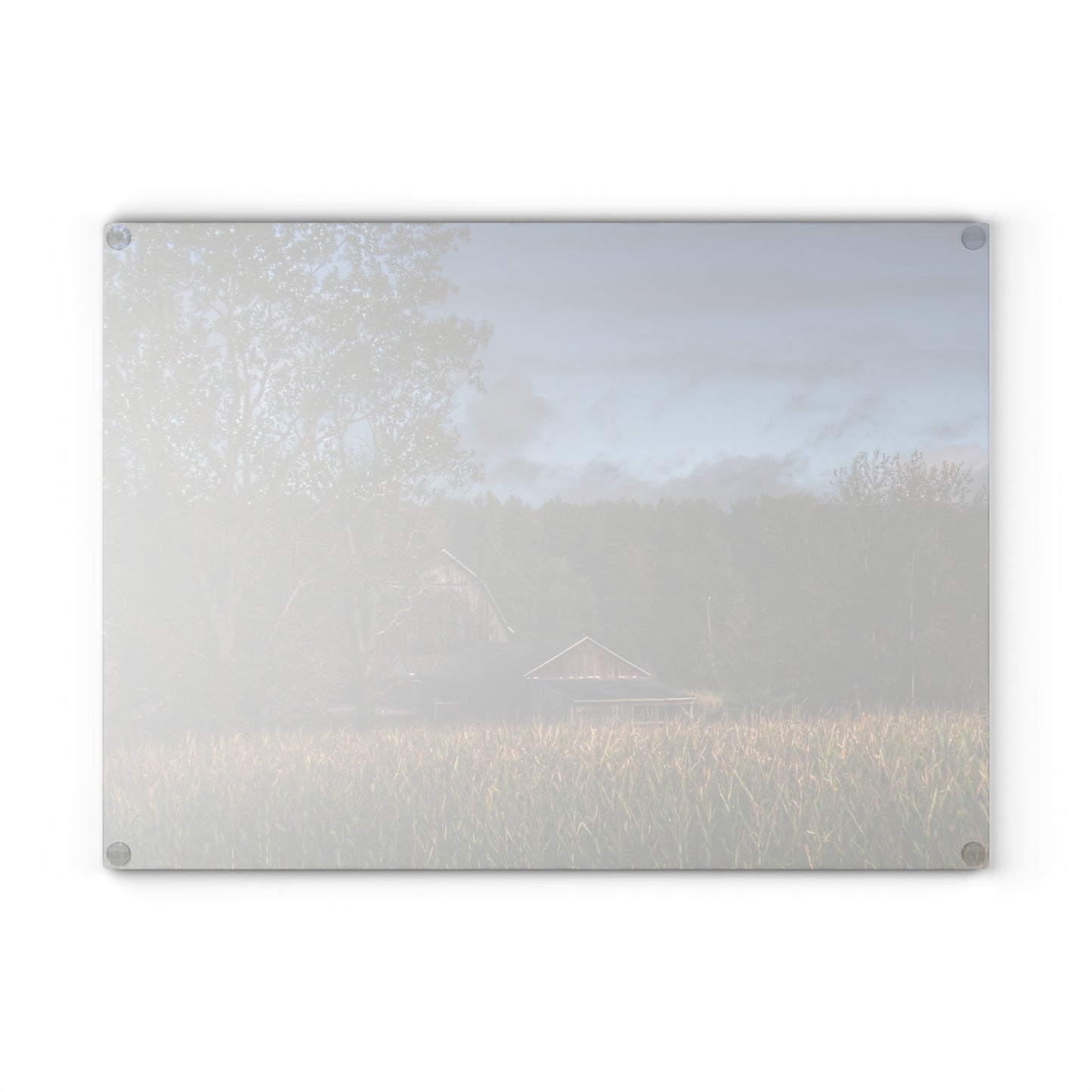 U R There Photography West Oregon Road Hidden Red II Rustic Farmhouse Tempered-Glass Cutting Board