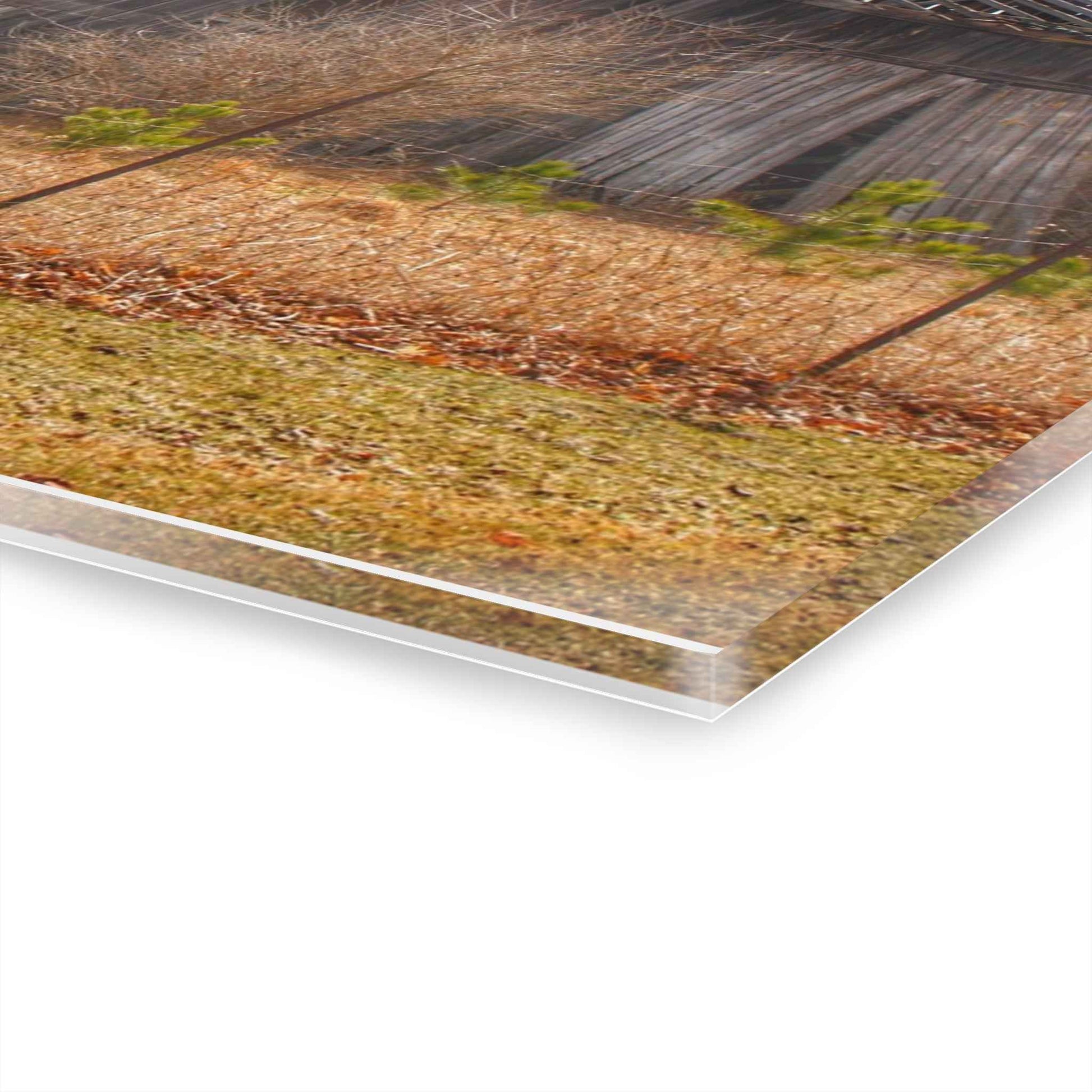 U R There Photography Leix Road Forgotten Grey I Rustic Farmhouse Acrylic Wall Print