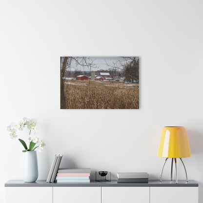 U R There Photography Beyond the Cornfield on Sutton Rustic Farmhouse Acrylic Wall Print