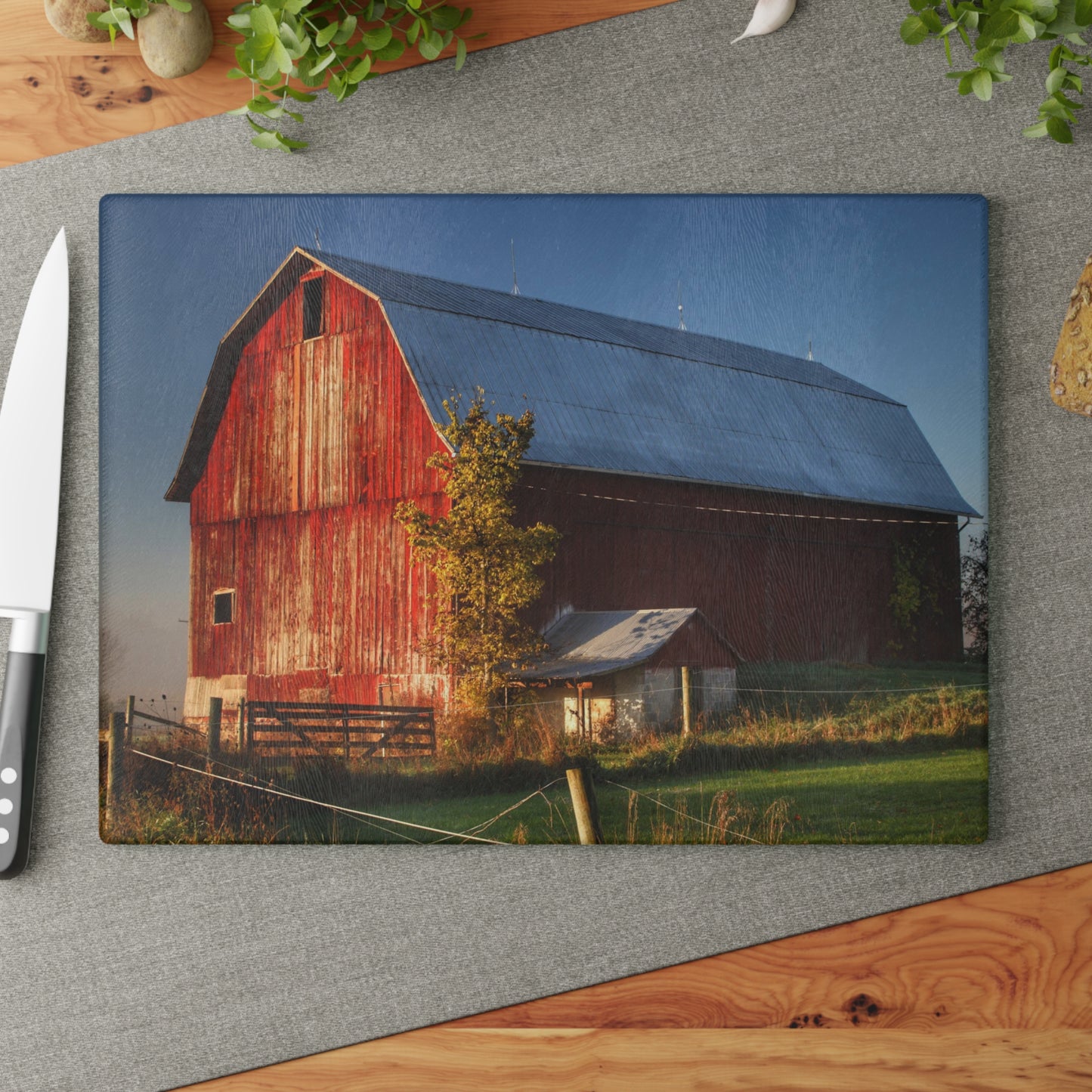 U R There Photography Columbiaville Red III Rustic Farmhouse Tempered-Glass Cutting Board