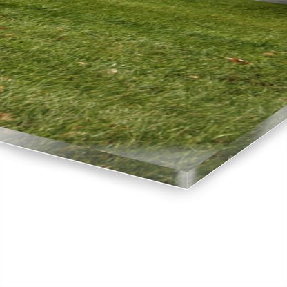 U R There Photography Lippincott Whites Rustic Farmhouse Acrylic Wall Print