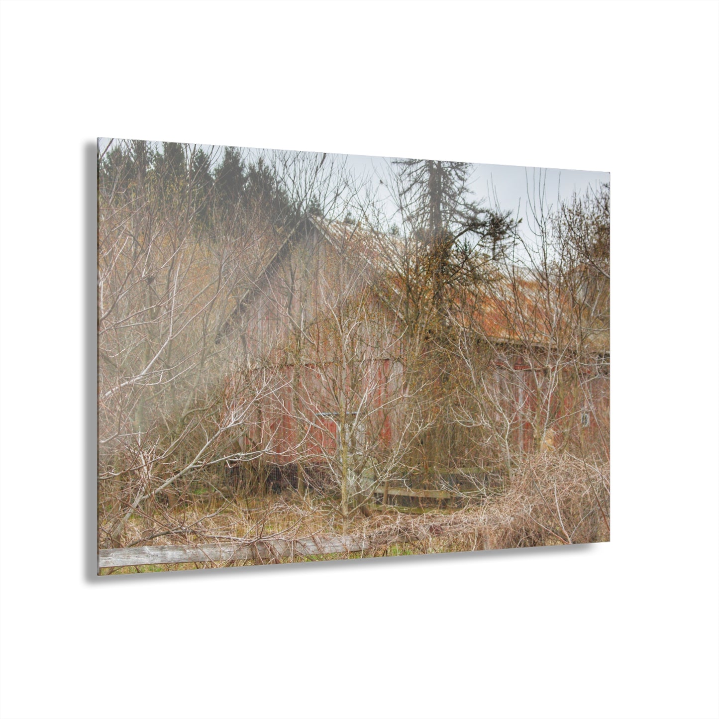 U R There Photography Klam Road Hidden Gable Red Rustic Farmhouse Acrylic Wall Print
