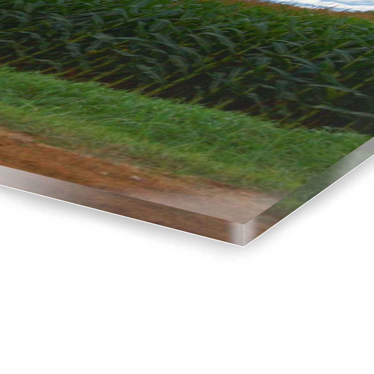 U R There Photography East Brown Road Red Rustic Farmhouse Acrylic Wall Print