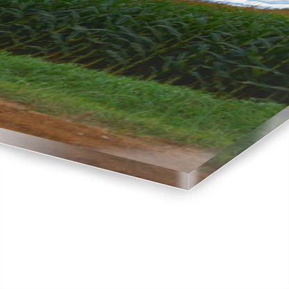 U R There Photography East Brown Road Red Rustic Farmhouse Acrylic Wall Print