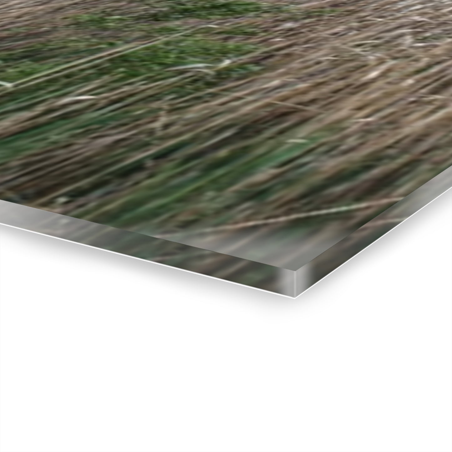 U R There Photography Linear Park Bridge in Lapeer II Rustic Farmhouse Acrylic Wall Print