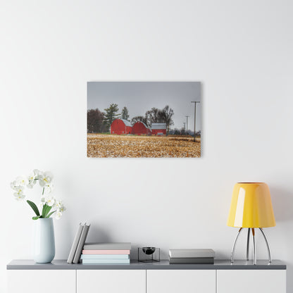 U R There Photography Shoemaker Road Winter Reds II Rustic Farmhouse Acrylic Wall Print