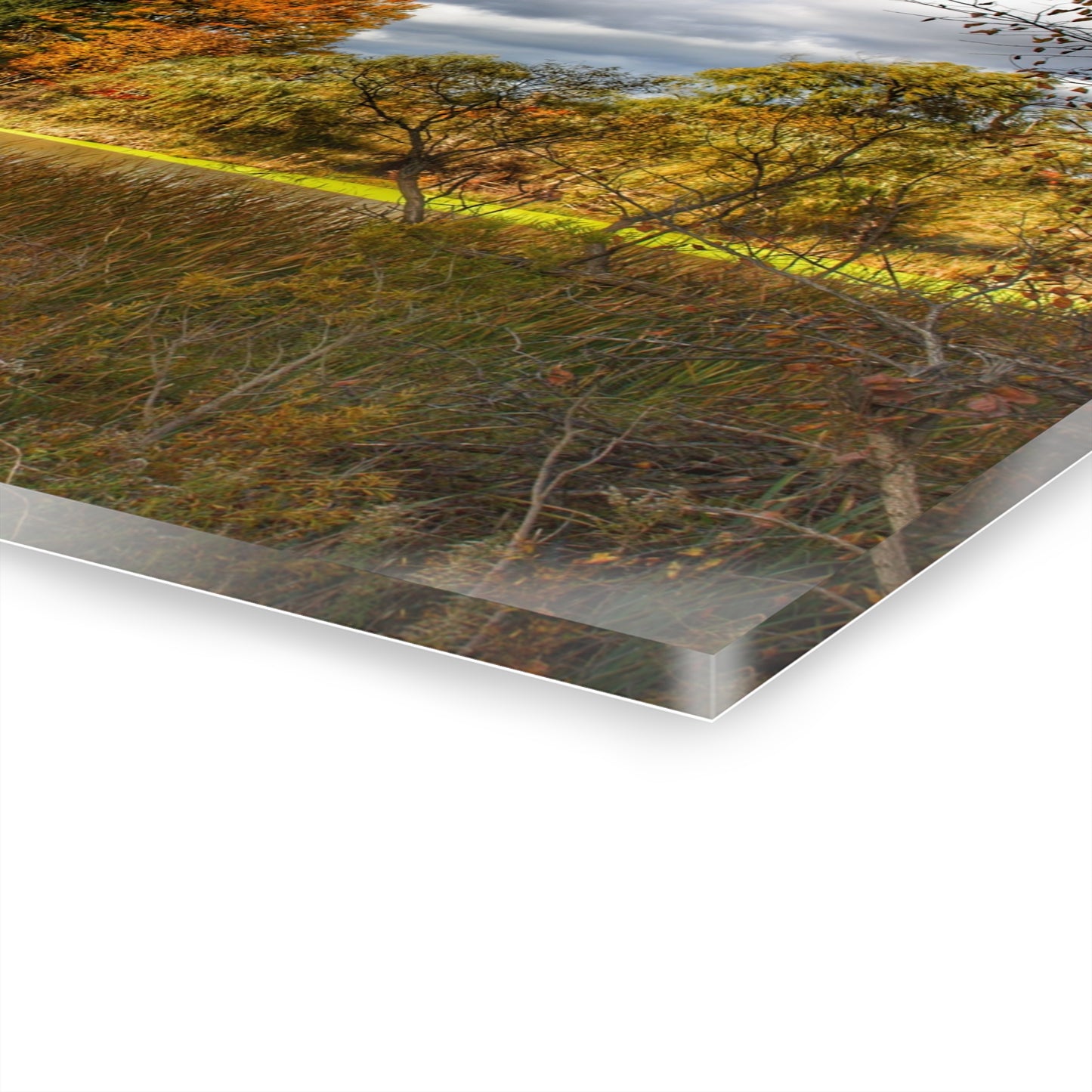 U R There Photography Fall Pond on Sutton Road Rustic Farmhouse Acrylic Wall Print