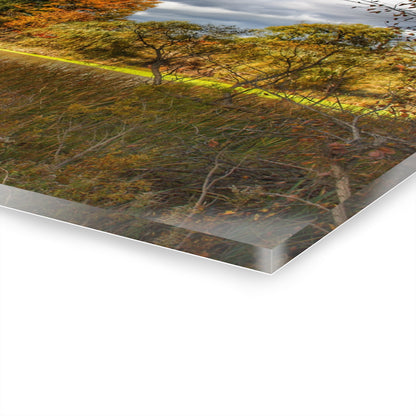 U R There Photography Fall Pond on Sutton Road Rustic Farmhouse Acrylic Wall Print