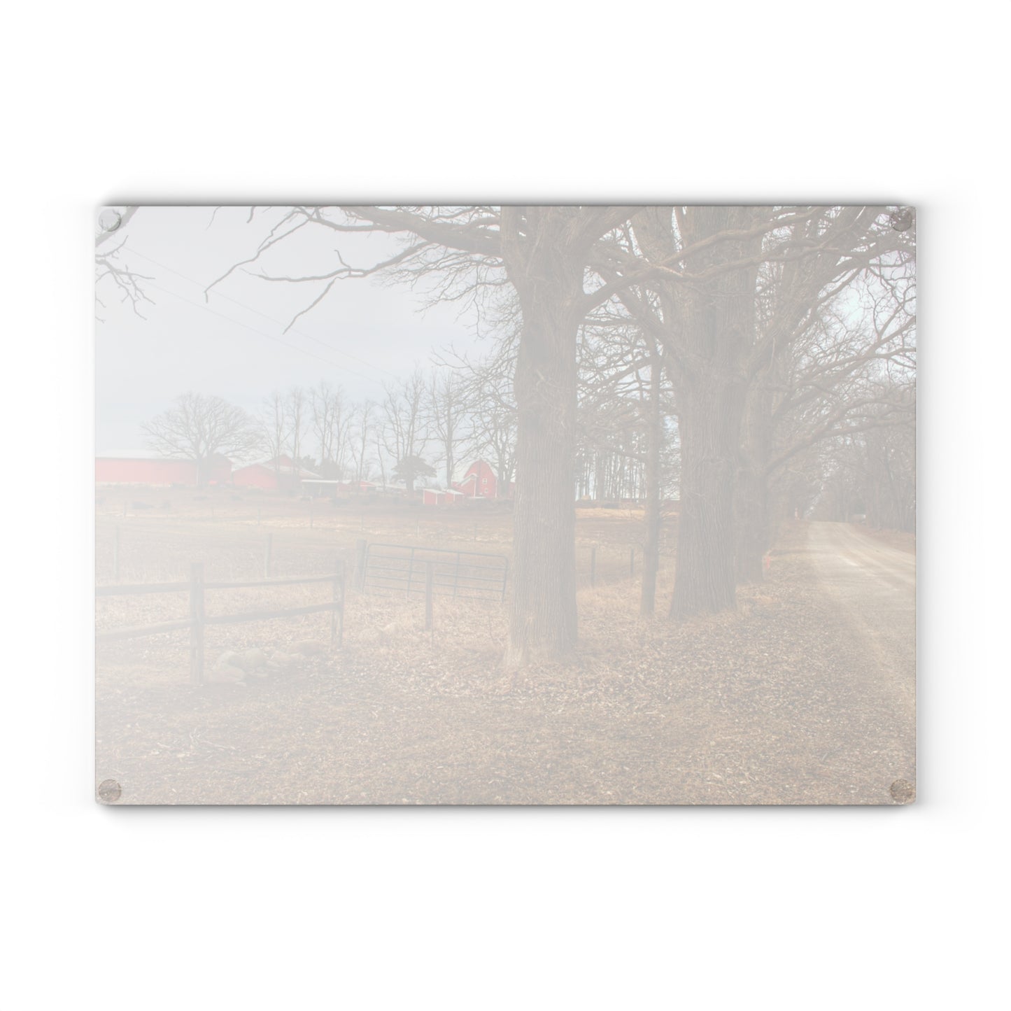 U R There Photography Wilder Road Cow Farm Rustic Farmhouse Tempered-Glass Cutting Board