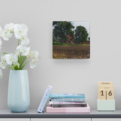 U R There Photography Catlin Road Red II Rustic Farmhouse Acrylic Analog Wall Clock