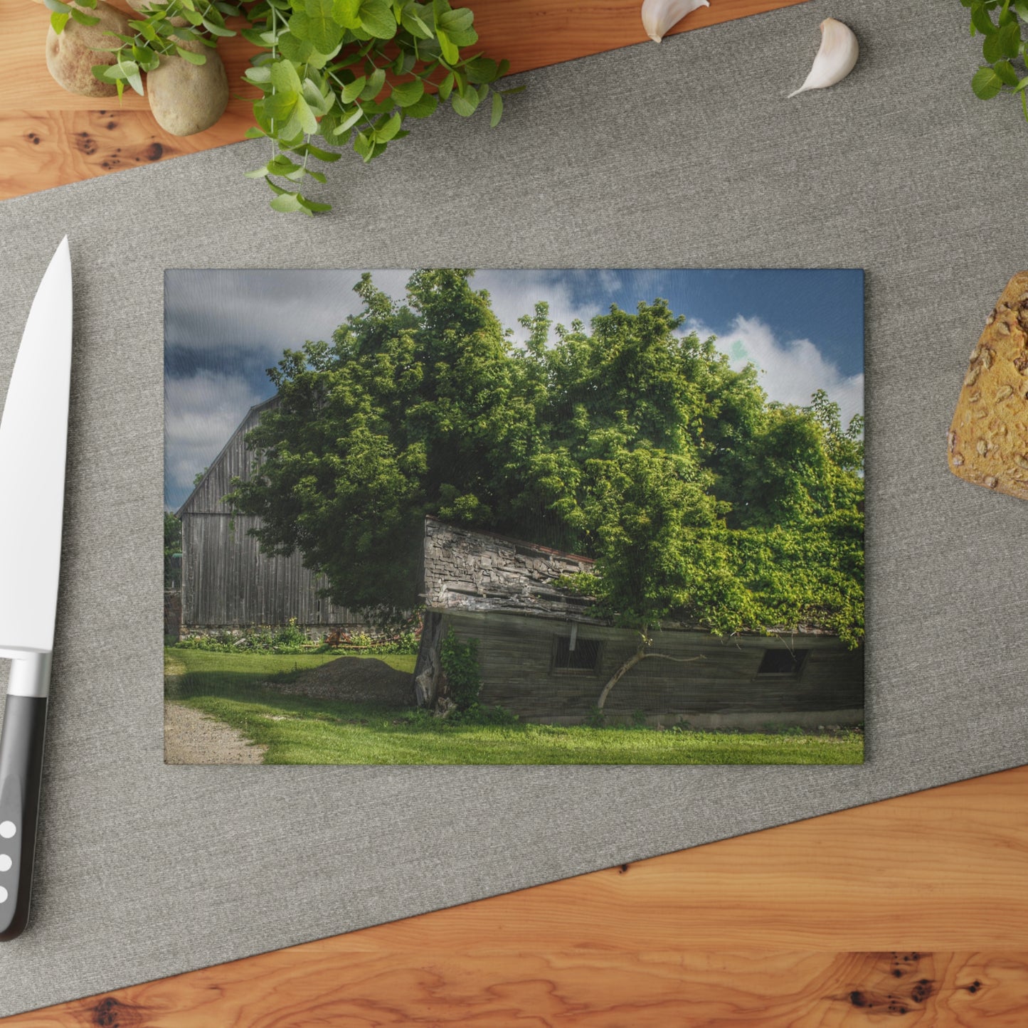 U R There Photography Brown City Road Barn and Buddy I Rustic Farmhouse Tempered-Glass Cutting Board