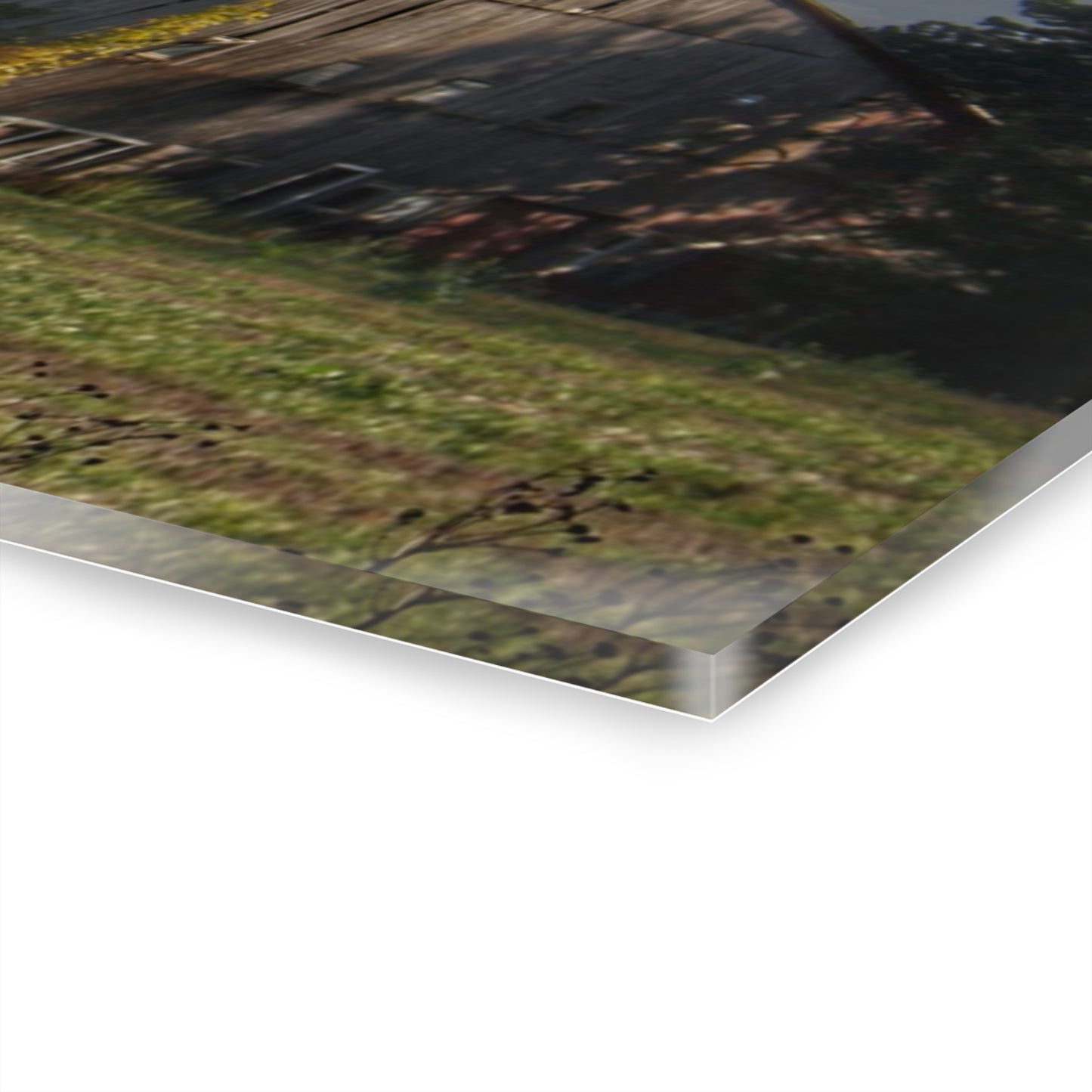U R There Photography Collapsing in Croswell Rustic Farmhouse Acrylic Wall Print