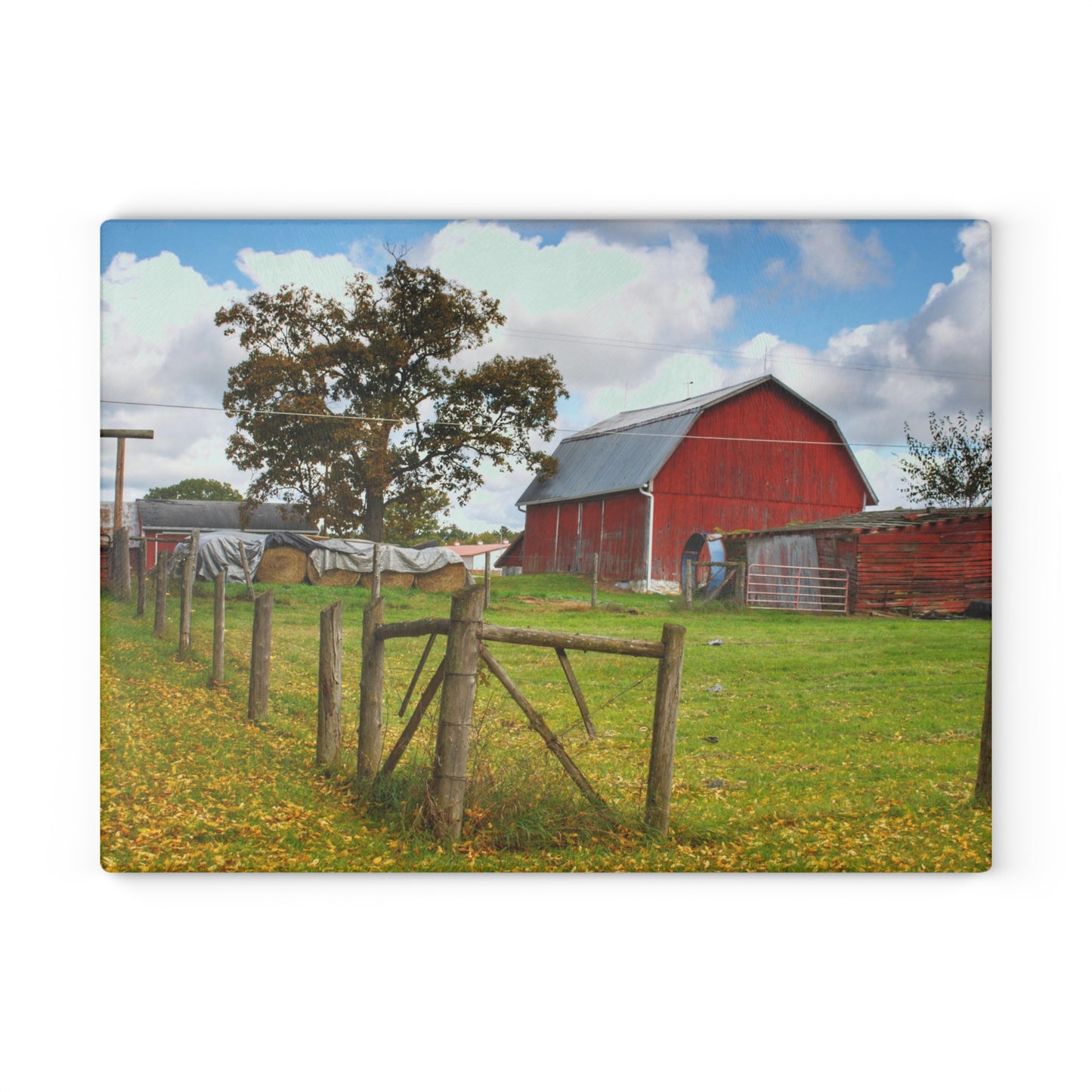 U R There Photography Beyond the Fence on Frances Road Rustic Farmhouse Tempered-Glass Cutting Board