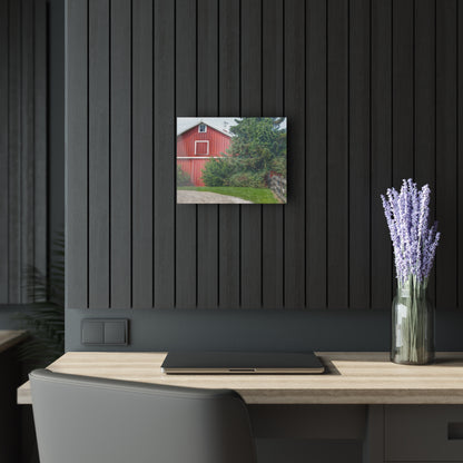 U R There Photography Modern Red I Rustic Farmhouse Acrylic Wall Print