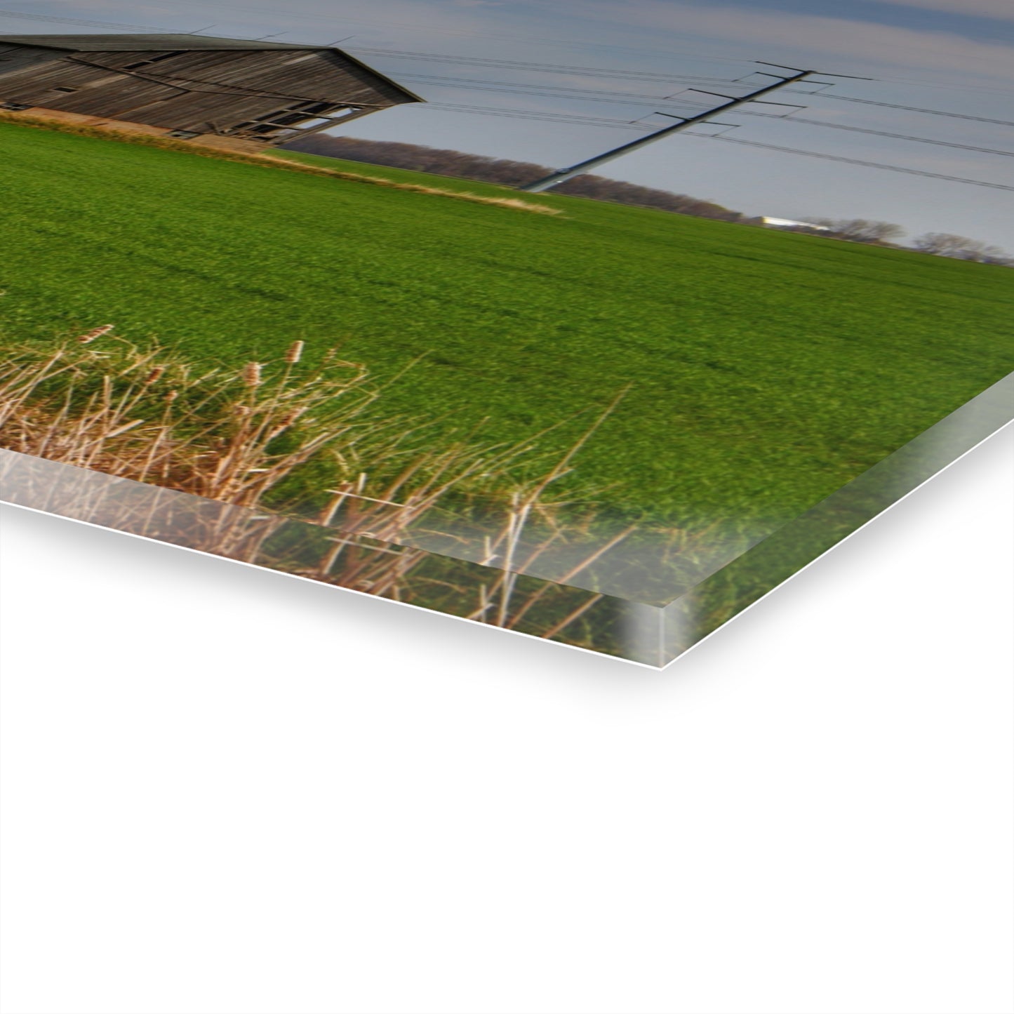 U R There Photography McAlpine Grey Rustic Farmhouse Acrylic Wall Print