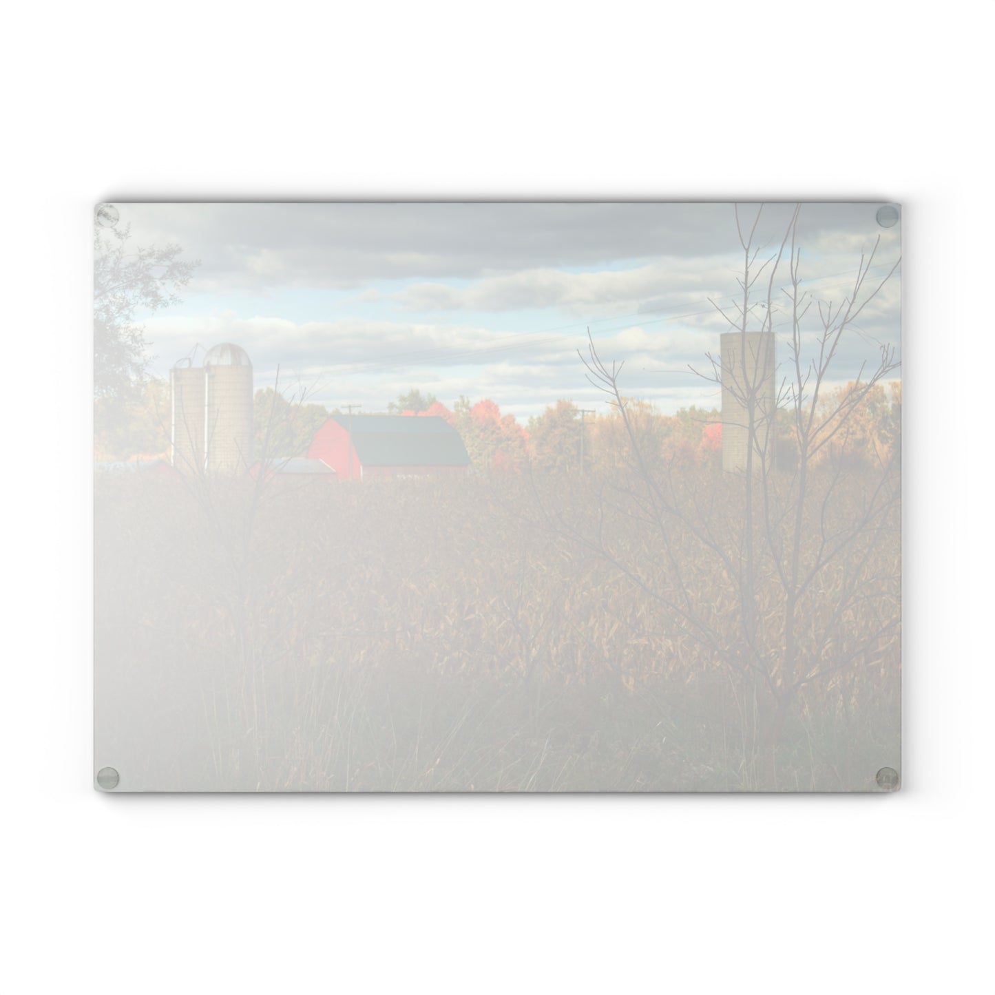 U R There Photography Beyond the Harvest Corn II Rustic Farmhouse Tempered-Glass Cutting Board