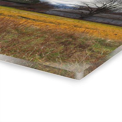 U R There Photography Fields of Golden Clover Rustic Farmhouse Acrylic Wall Print