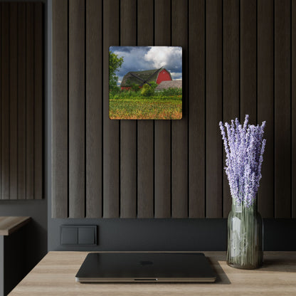 U R There Photography Shelby Red IV Rustic Farmhouse Acrylic Analog Wall Clock