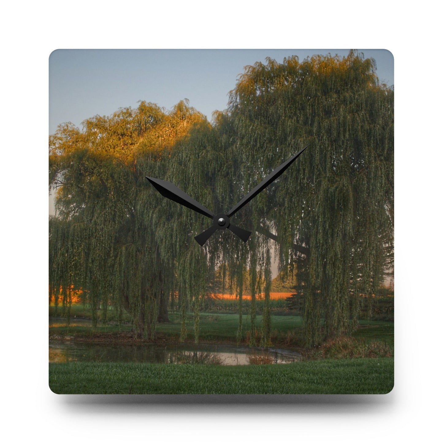 U R There Photography Sunrise on Willow Pond II Rustic Farmhouse Acrylic Analog Wall Clock