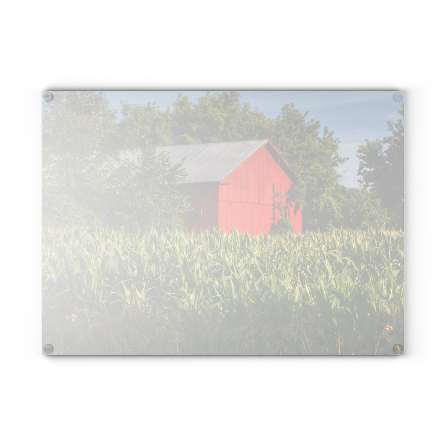 U R There Photography Willard Road Red III Rustic Farmhouse Tempered-Glass Cutting Board