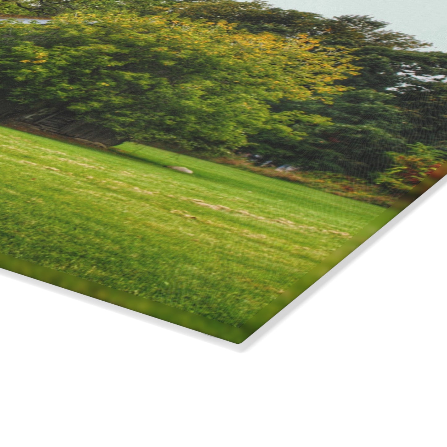 U R There Photography Hidden Past I Rustic Farmhouse Tempered-Glass Cutting Board