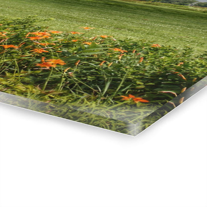 U R There Photography Millington Road Lilly Grey Rustic Farmhouse Acrylic Wall Print