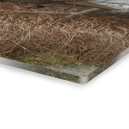 U R There Photography Grey Saltbox Rustic Farmhouse Acrylic Wall Print