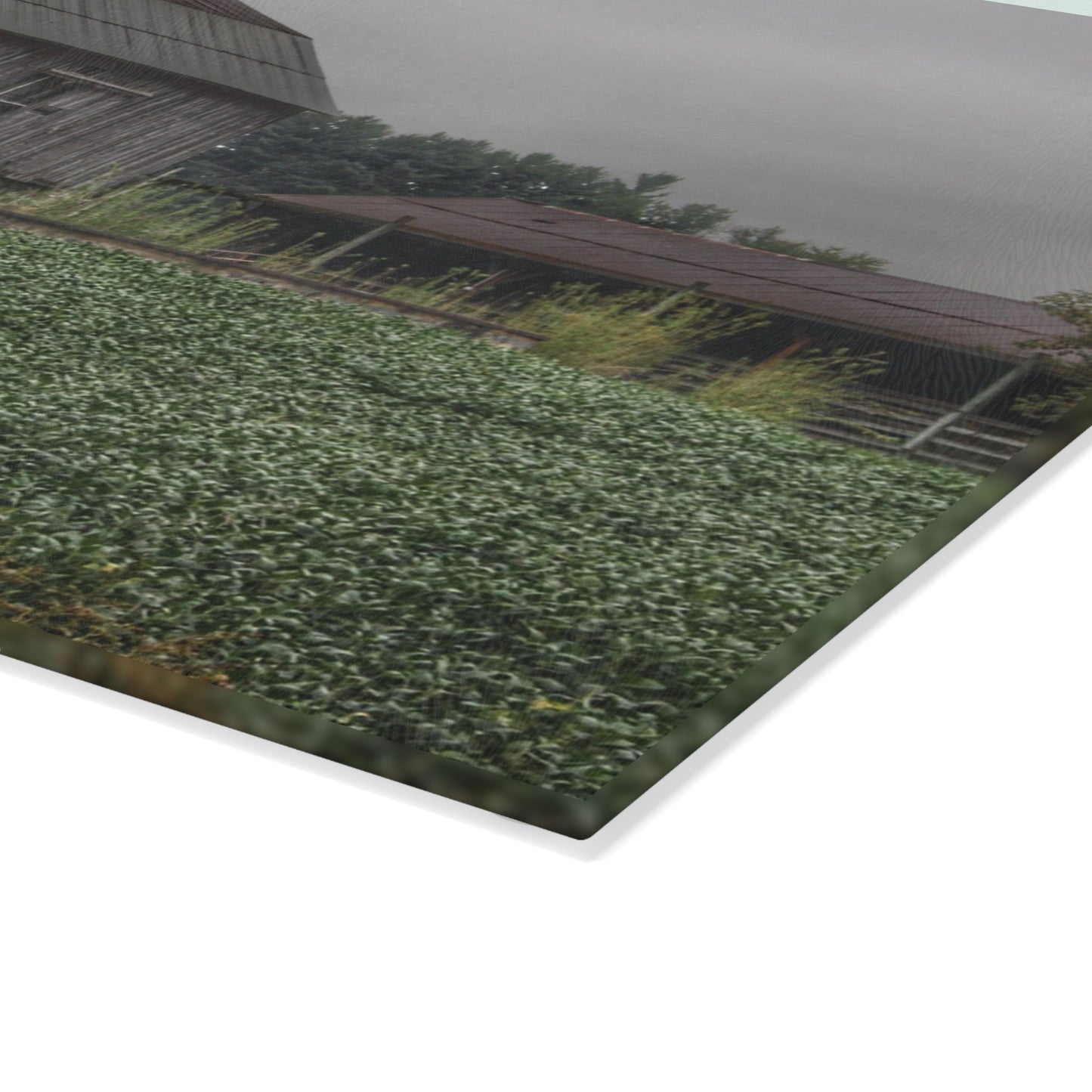 U R There Photography East Millington Road Grey and Stable Rustic Farmhouse Tempered-Glass Cutting Board