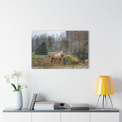 U R There Photography French Road Butterscotch Rustic Farmhouse Acrylic Wall Print