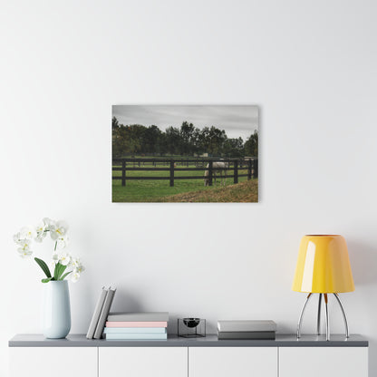 Barn Boutique Modern Farmhouse Acrylic Wall Print| Beyond the Fence White