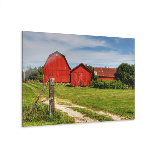 U R There Photography South Oak Road Reds I Rustic Farmhouse Acrylic Wall Print