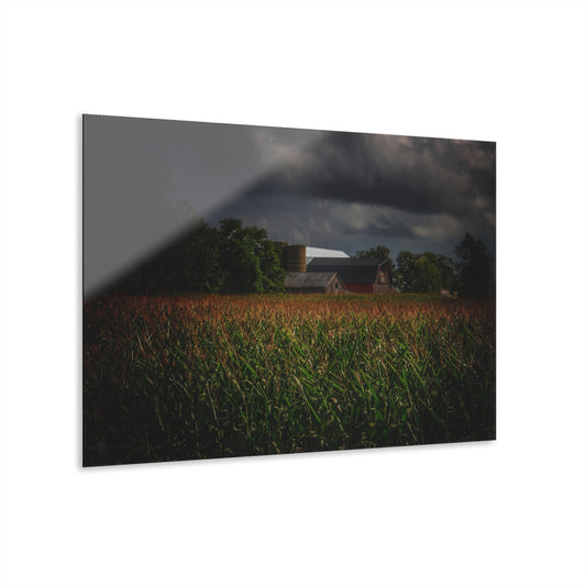 U R There Photography Bishop Road Beyond the Corn Rustic Farmhouse Acrylic Wall Print