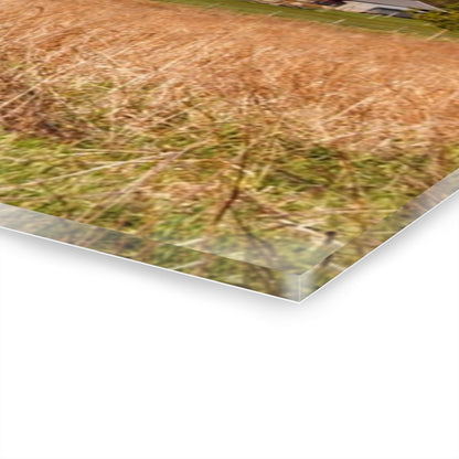 U R There Photography East Millington Road Farm Rustic Farmhouse Acrylic Wall Print