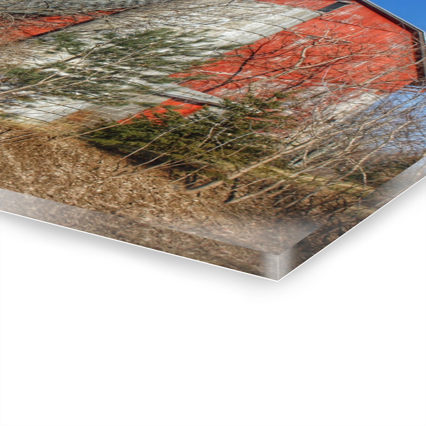 U R There Photography Van Dyke Red I Rustic Farmhouse Acrylic Wall Print