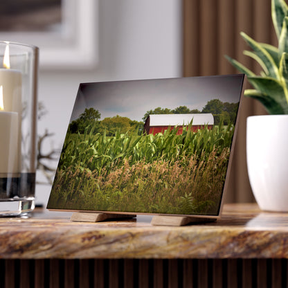 U R There Photography July Corn Rustic Farmhouse Decorative Ceramic Tile
