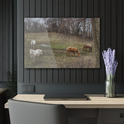 Barn Boutique Modern Farmhouse Acrylic Wall Print| Horses of Barnes Road I