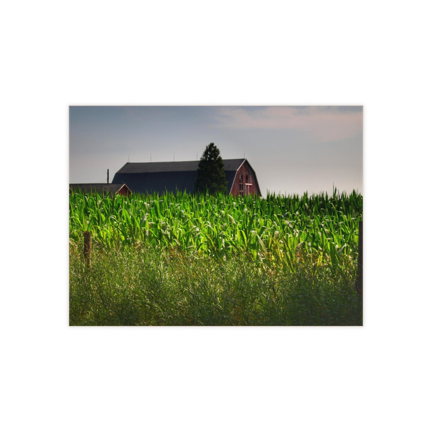 U R There Photography Beyond the Corn in Metamora Rustic Farmhouse Decorative Ceramic Tile