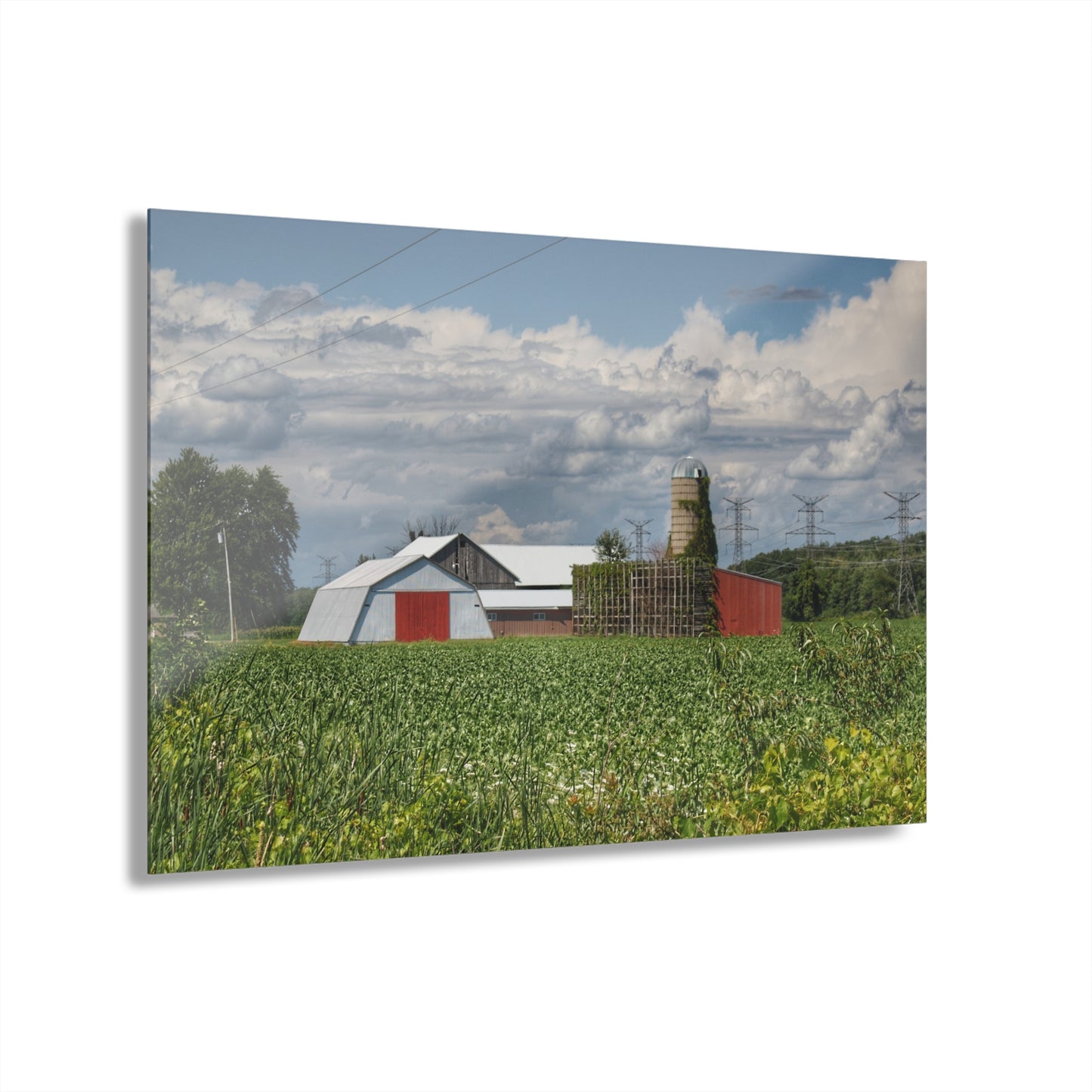 U R There Photography Montrose Farm I Rustic Farmhouse Acrylic Wall Print