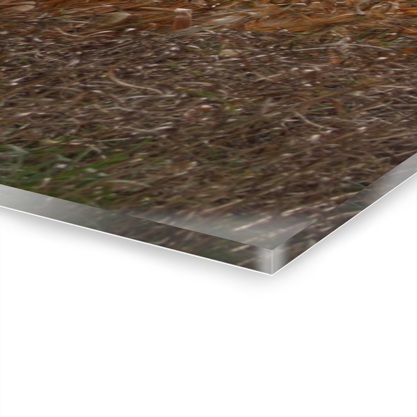 U R There Photography North State Road Grey Rustic Farmhouse Acrylic Wall Print