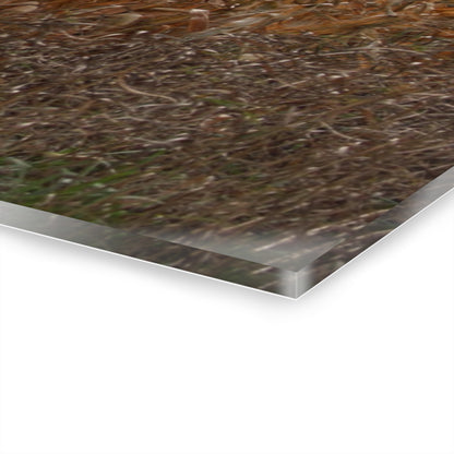 U R There Photography North State Road Grey Rustic Farmhouse Acrylic Wall Print