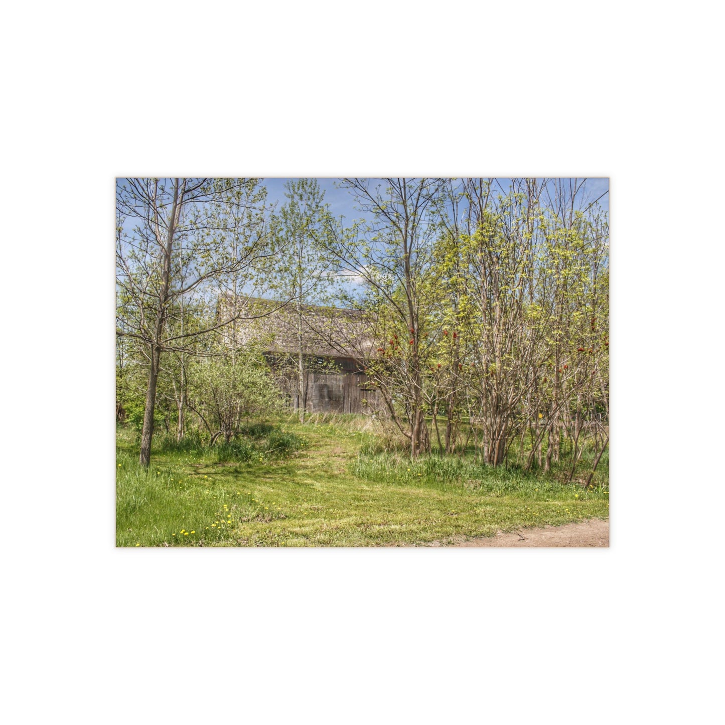 U R There Photography Bishop Road Grey I Rustic Farmhouse Decorative Ceramic Tile