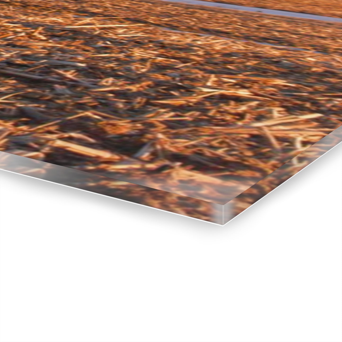 U R There Photography Early Spring on Catlin Road Rustic Farmhouse Acrylic Wall Print