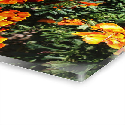 U R There Photography Marigolds Rustic Farmhouse Acrylic Wall Print